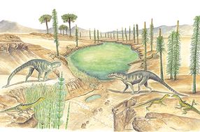 Les empreintes de pas de reptile de Saint-Etienne-de-Tinée : la vie dans les Alpes-Maritimes il y 245 millions d’années